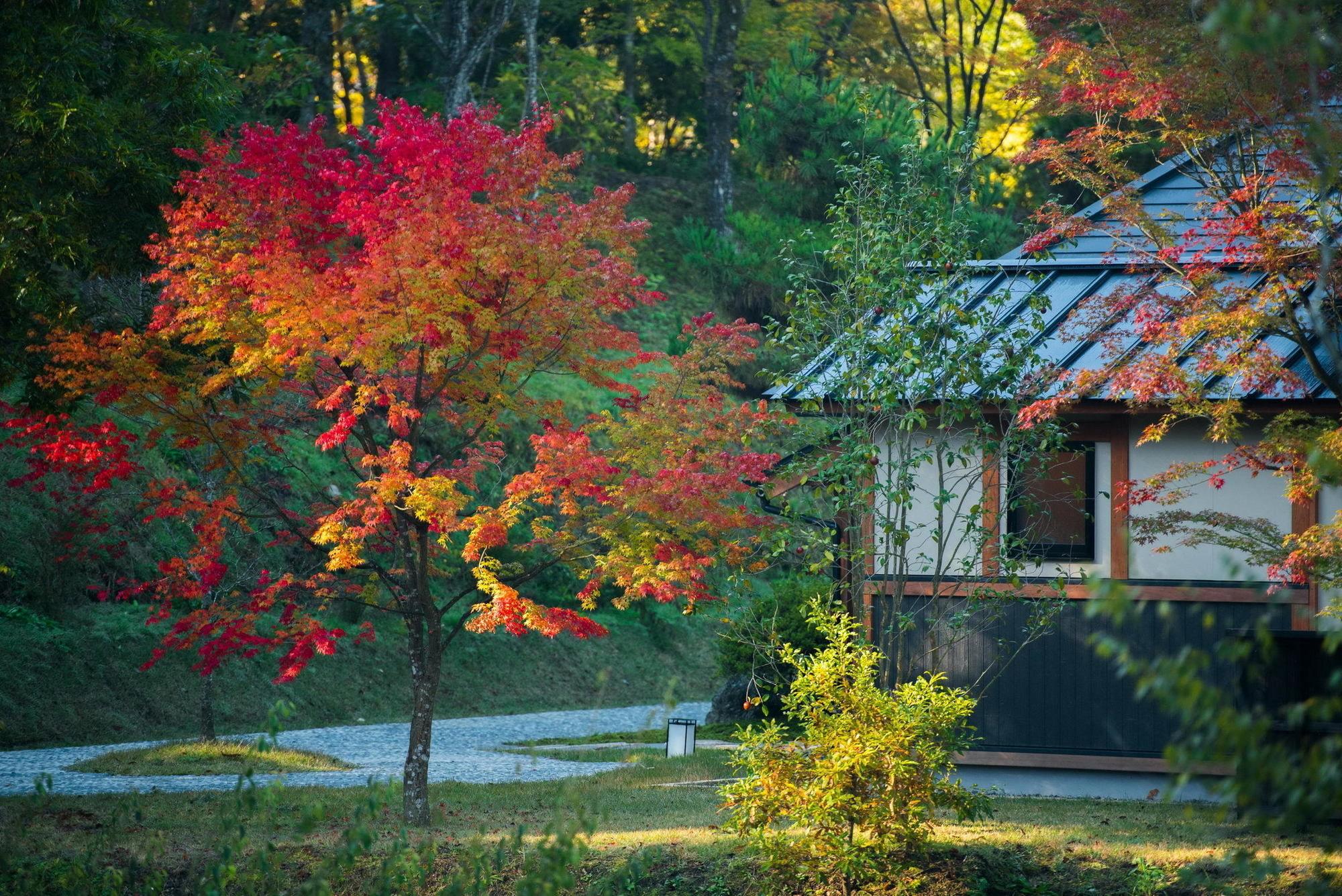 Miyama Sansou Otel Minamioguni Dış mekan fotoğraf