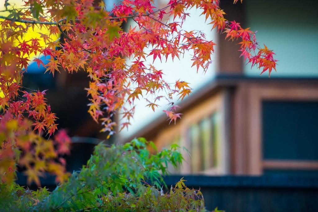 Miyama Sansou Otel Minamioguni Dış mekan fotoğraf